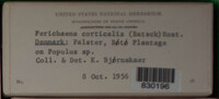 Image Associated With the Occurence